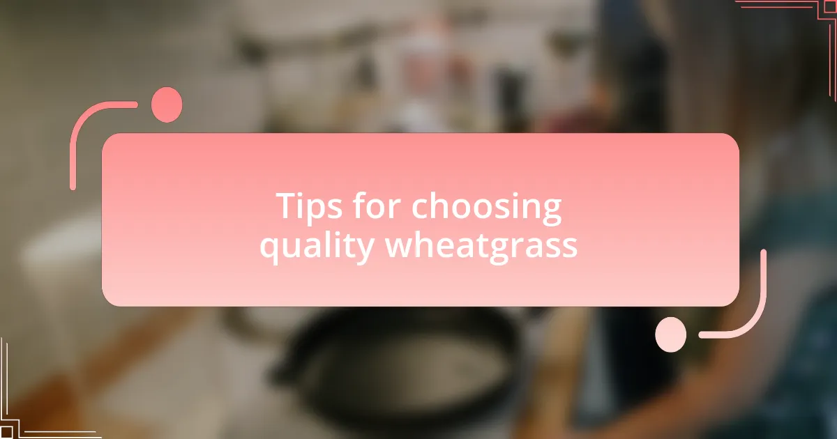 Tips for choosing quality wheatgrass