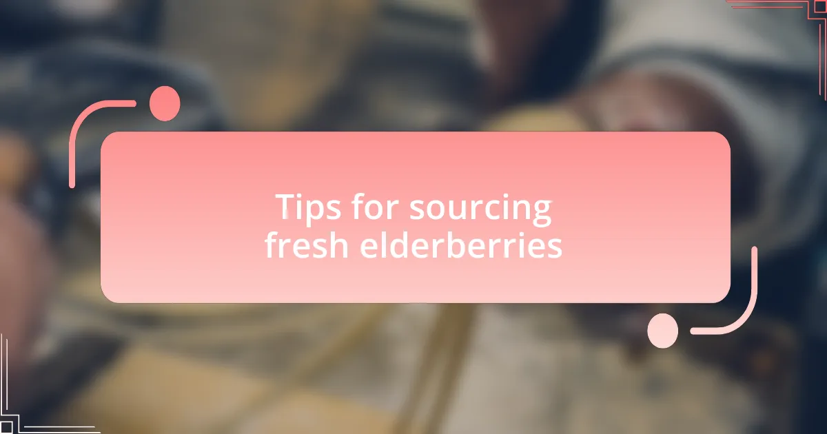 Tips for sourcing fresh elderberries